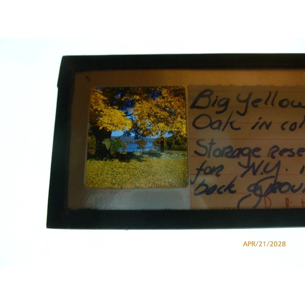 Vintage Stereo Slide Big Yellow Oak NY Storage Reservoir Landscape 3D View